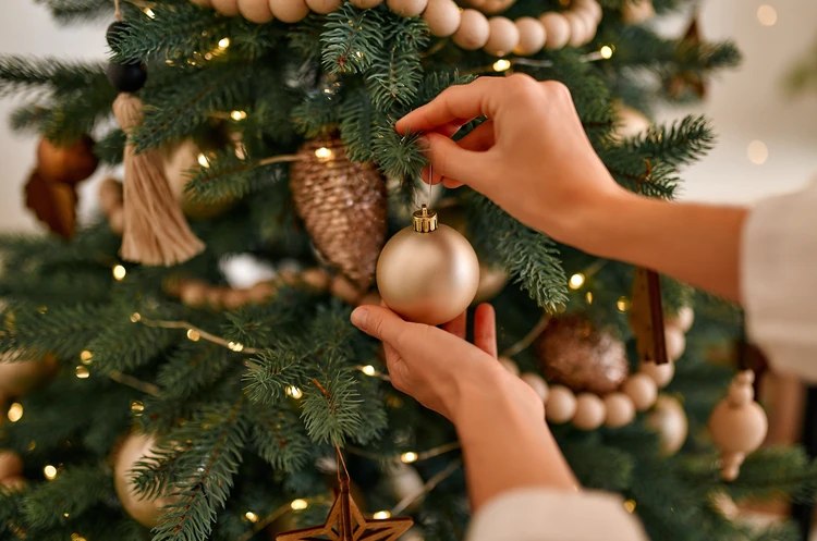 Живое дерево за новогоднюю ёлку: праздничный проект в СберМаркете