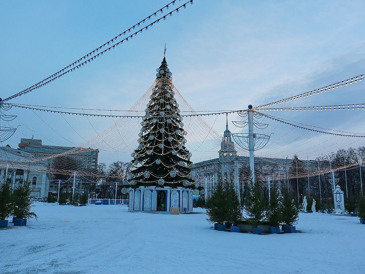 Новогоднюю площадь Ленина в Воронеже открыли для посетителей 28 декабря -  KP.RU