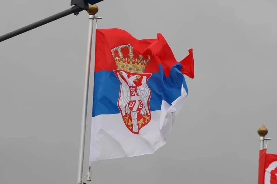 Миссия ОБСЕ положительно оценила результаты парламентских выборов в Сербии