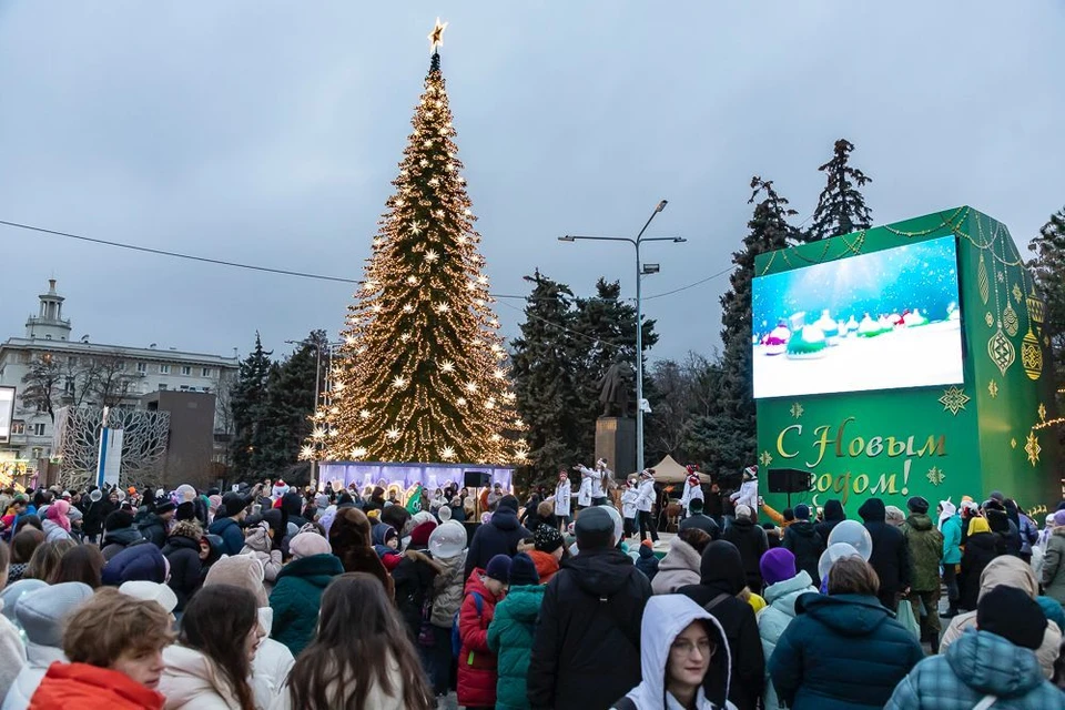 В Ростове открыли городскую елку. Фото: пресс-служба городской администрации