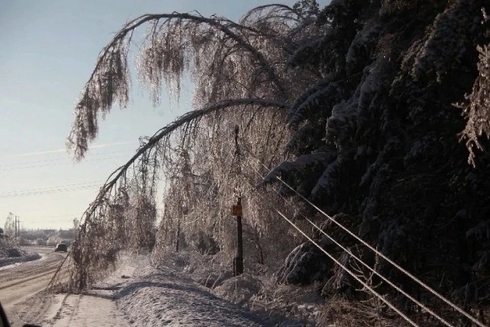 Ледяной дождь Владивосток 2022. Ледяной дождь,оборванные провода. Ледяной дождь Новороссийск. Налипание мокрого снега на провода.