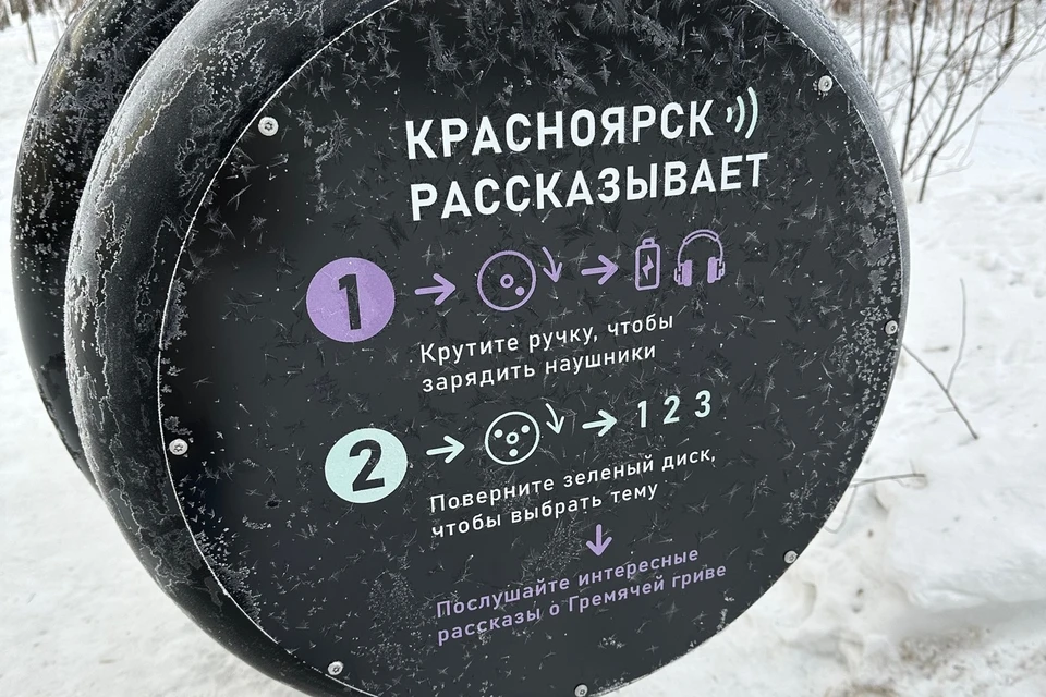 Фото: социальные сети экопарка «Гремячая грива» (vk.com/grivapark)