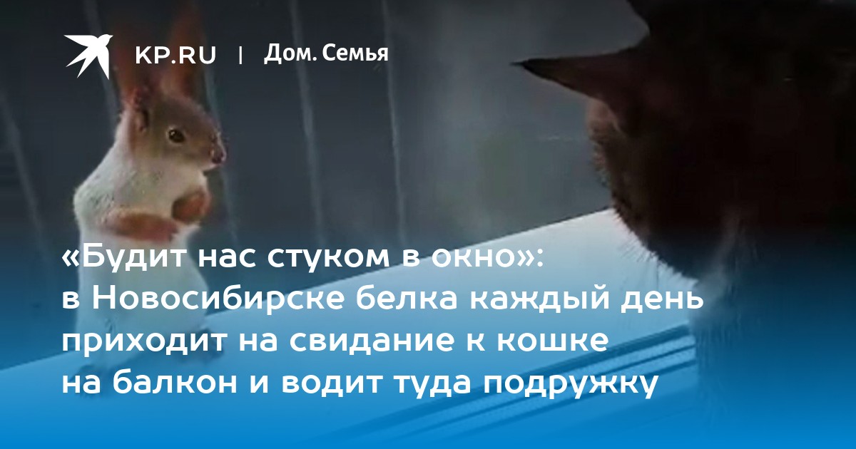 Одно и тоже каждый день туда сюда