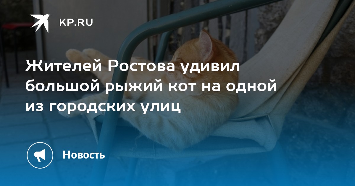 Ростов толстой