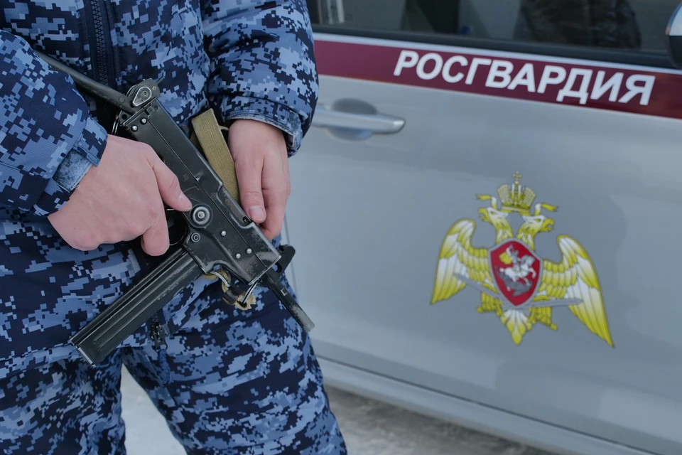 22-летний житель Ульяновска похитил в компьютерном салоне игровую приставку