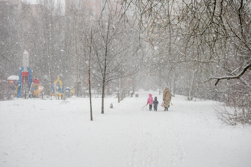 В Новосибирске будет метель и потепление до -7.