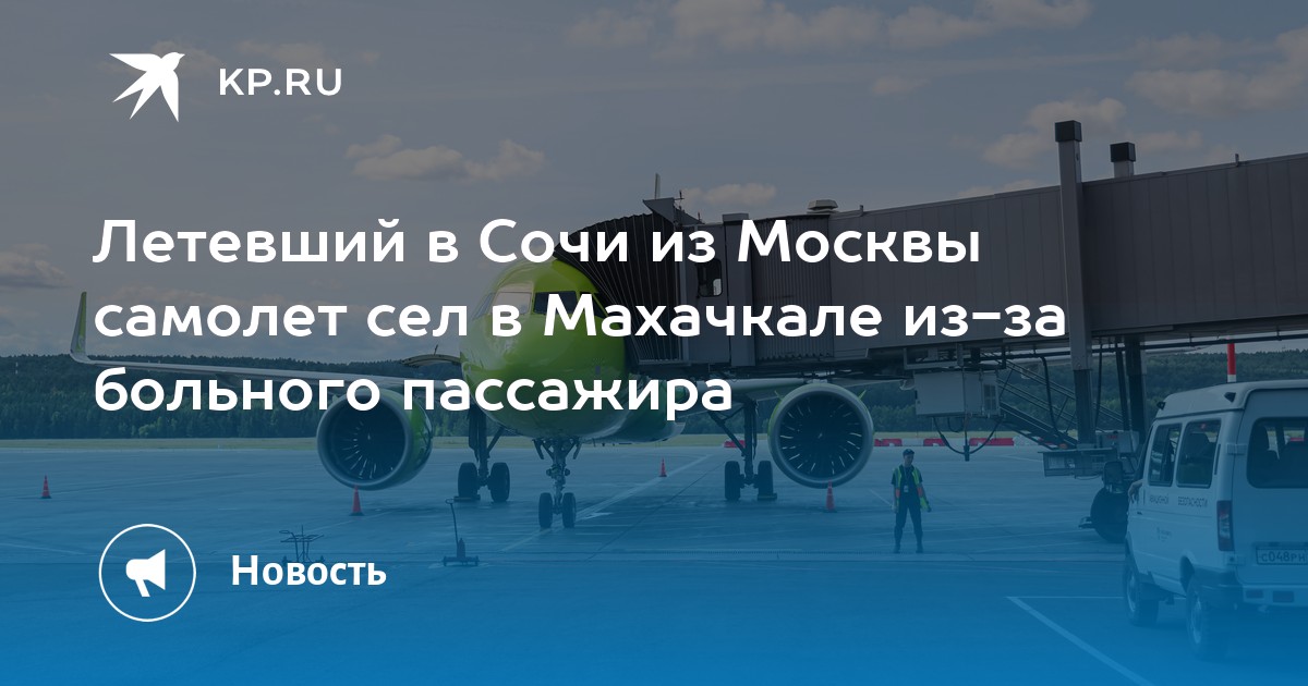 Москва сочи домодедово