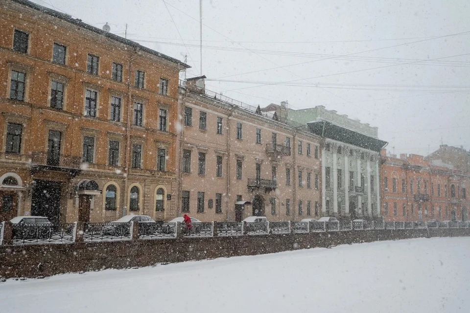 Мокрый снег пройдет в Петербурге 10 января.