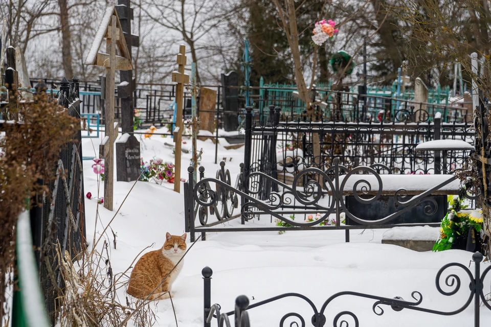 Всего в списке 15 кладбищ, общая площадь — 270 га