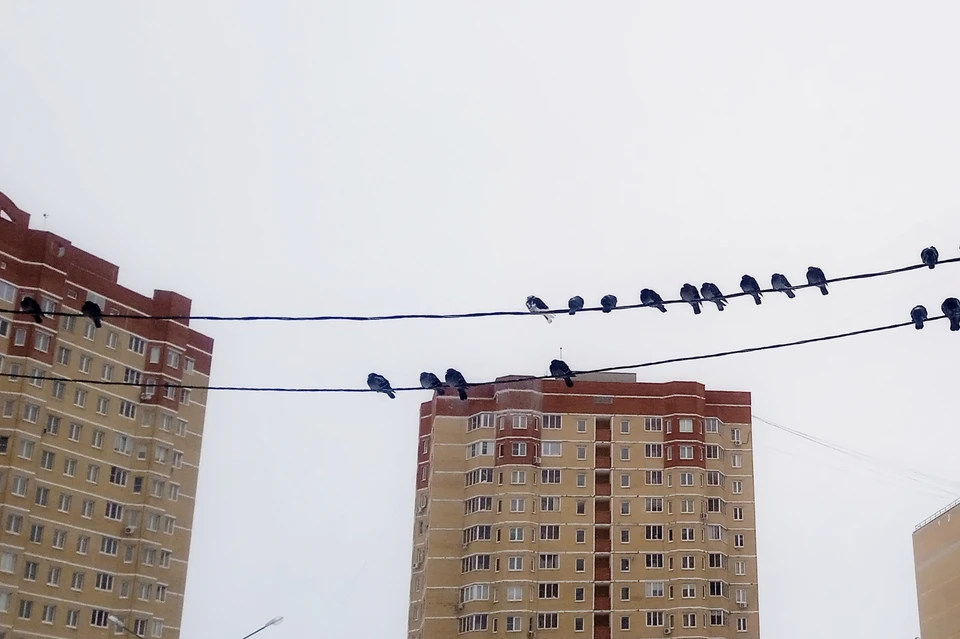 Свет отключат на 14 улицах Липецка 11 января, еще на 4 - холодную воду