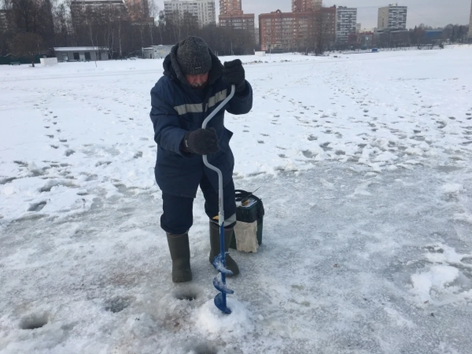 По словам очевидцев, водитель вместе со своими питомцами успел выбраться из салона.