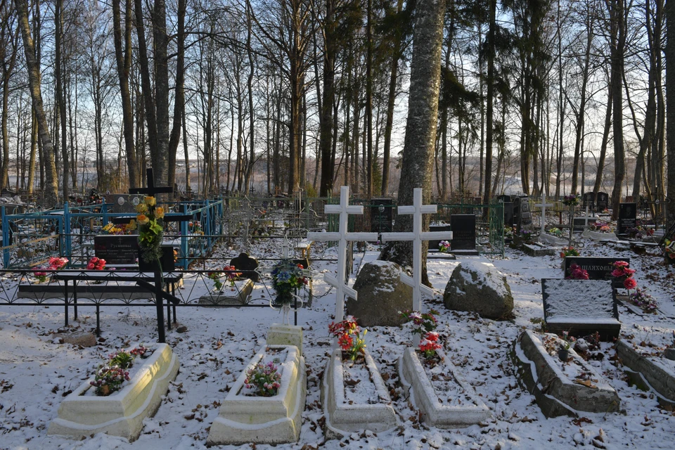 Вымирание Воронежской области в 2023 году продолжилось, пусть и не так стремительно, как в 2022-м.
