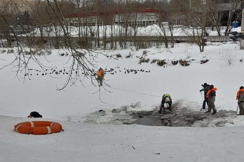 На пруду в Рязани власти сделали полынью для уток, но орнитологи это не одобрили. Фото: Кирилл Горелов.