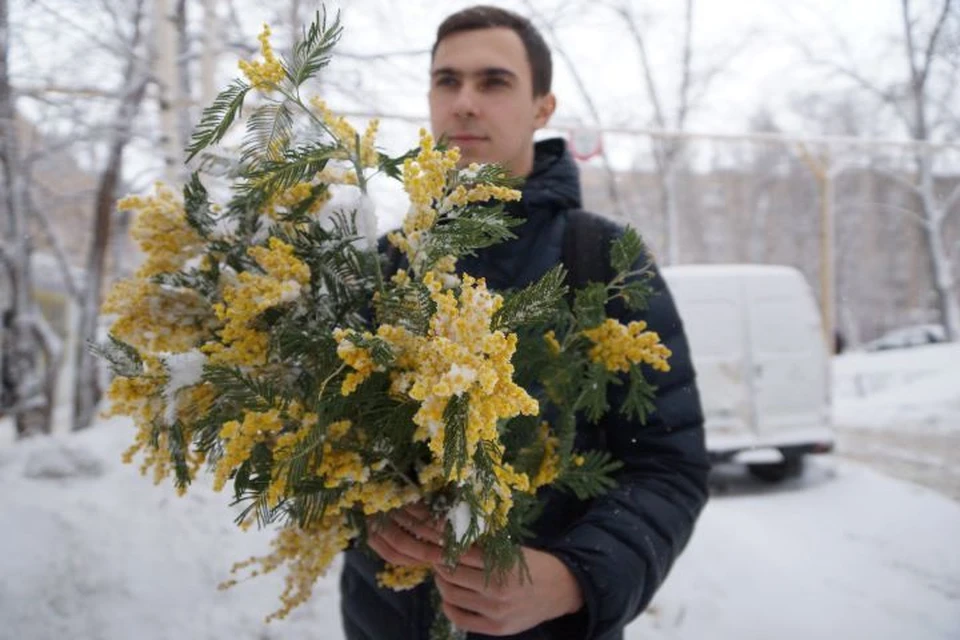 Мимоза распустилась в Сочи в разгар зимы.