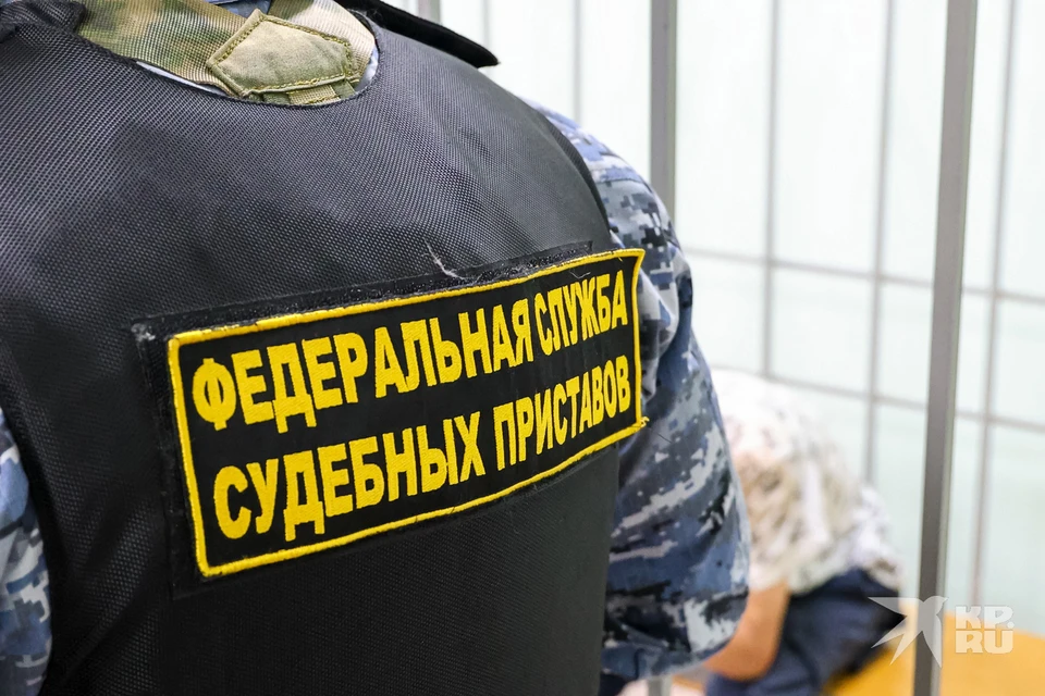Приставы объяснили рязанцам, как противостоять незаконным действиям коллекторов.