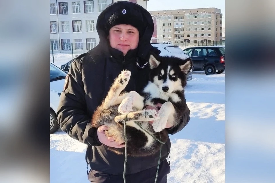 Участковый помог вызволить запертого на балконе щенка. Фото: пресс-служба ГУ МВД России по Челябинской области