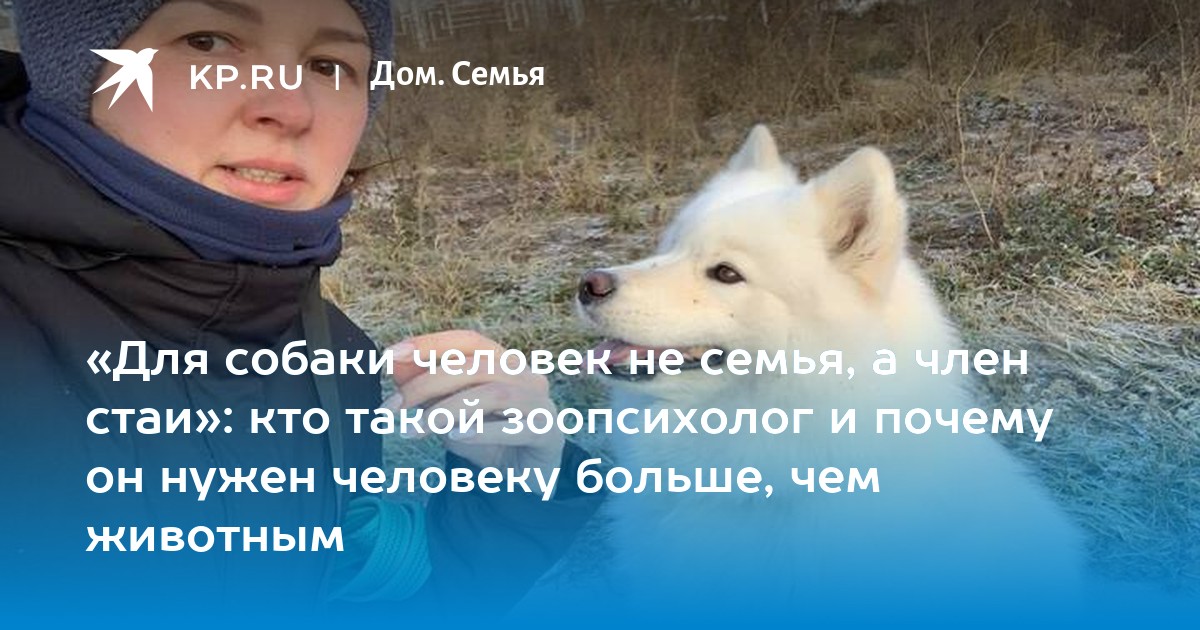 Почему животным не холодно. Бездомные животные мерзнут. Почему птицы зимой незамезают?. Кот замерз. Почему животным не холодно.