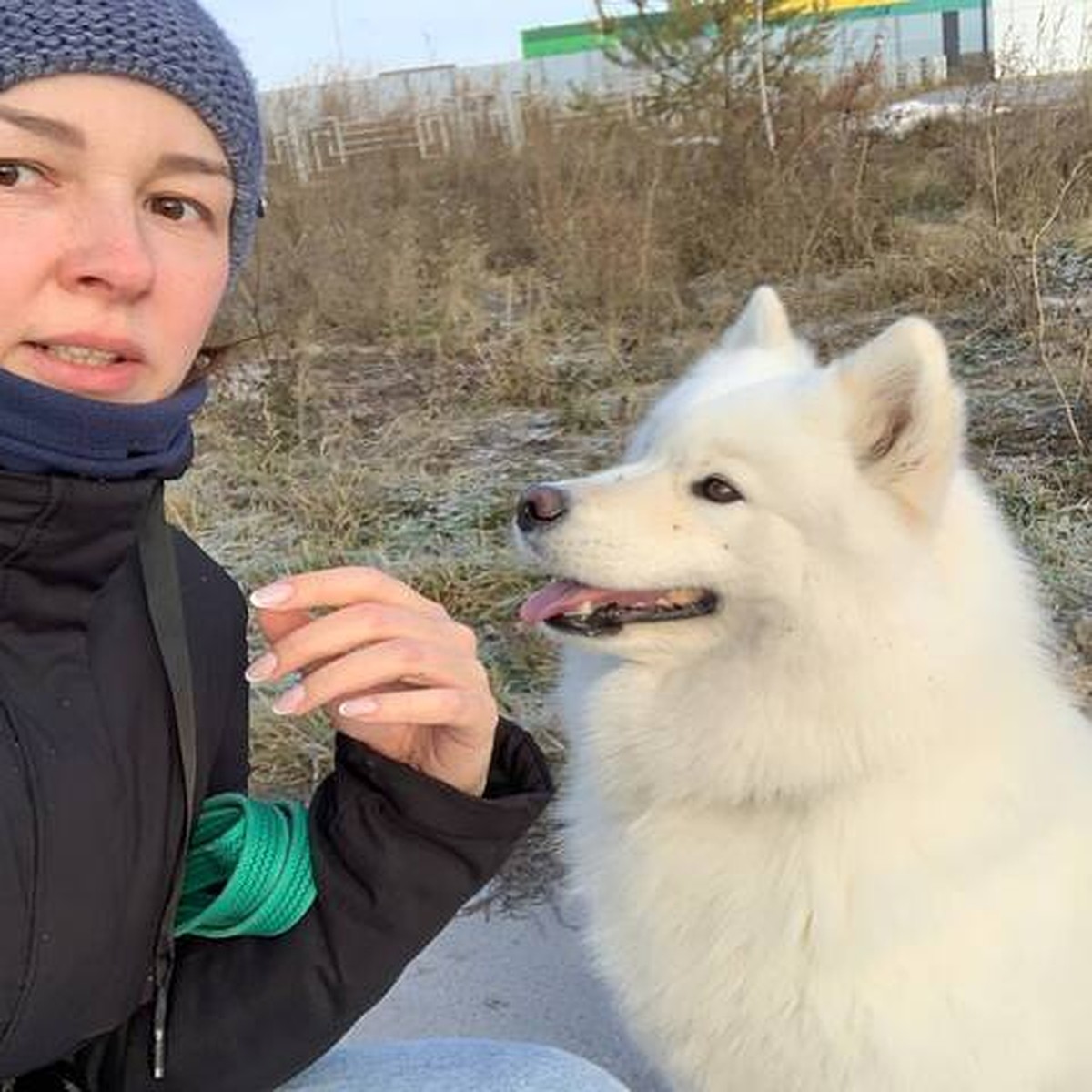 Для собаки человек не семья, а член стаи»: кто такой зоопсихолог и почему  он нужен человеку больше, чем животным - KP.RU