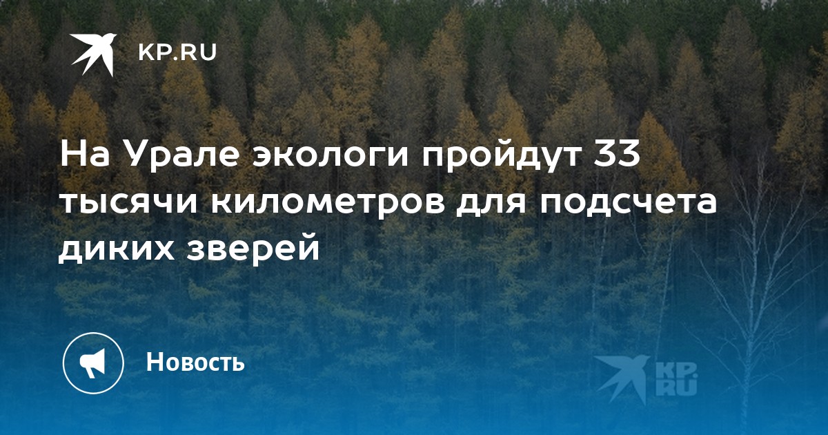 Учитывал результаты