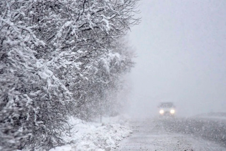 Ижевск заметает снегом. Фото: Администрация Ижевска