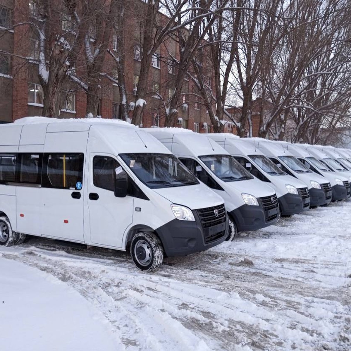 Белые «Газельки» в ряд: в Самаре показали новые автобусы - KP.RU