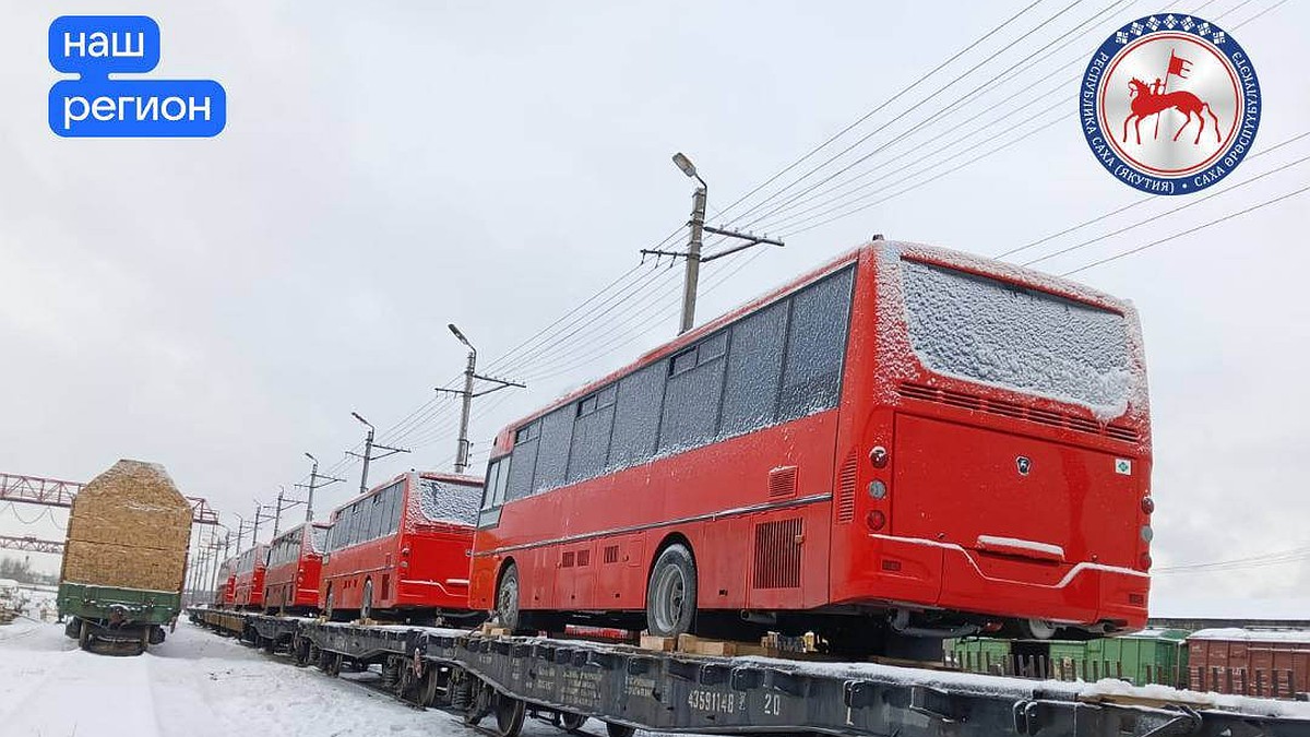 Для Якутска закупят 50 новых автобусов за 150 миллионов рублей - KP.RU