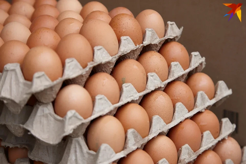 В 2023 году в Удмуртии упали показатели по производству яиц