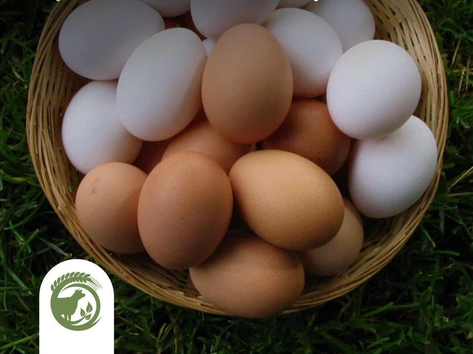 С конца декабря по январь в Ульяновской области подешевели яйца. ФОТО: минсельхоз УО