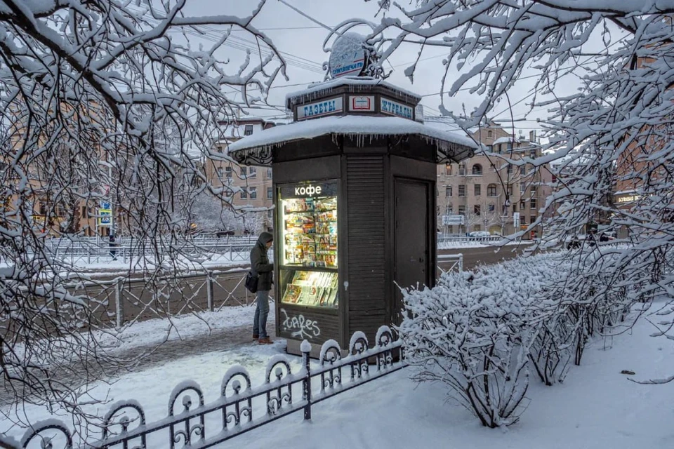 Средняя температура в Петербурге за январь составила -8,9 градуса.