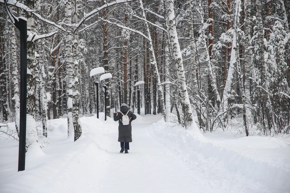 В Красноярске на выходных будет снежно и потеплеет до -5 градусов