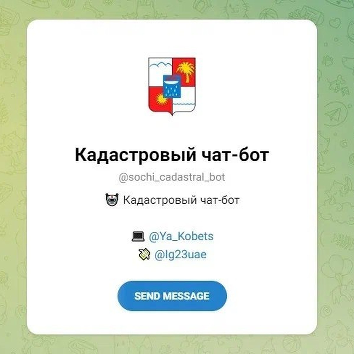 Кадастровый чат-бот для определения статуса недвижимости разработали в Сочи  - KP.RU