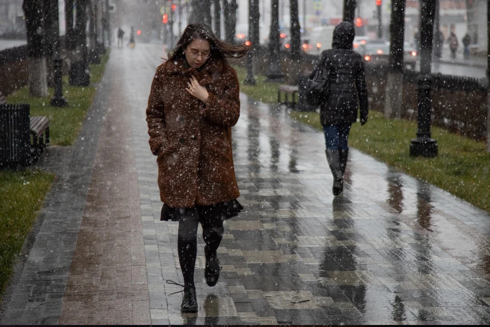 В МЧС предупредили о дожде со снегом и сильным ветром в Москве