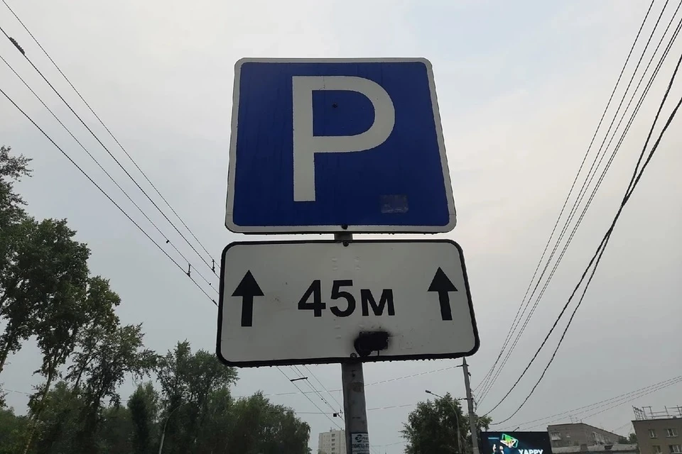Водителей Новосибирска оштрафовали на 8,6 млн рублей за неоплаченную парковку.