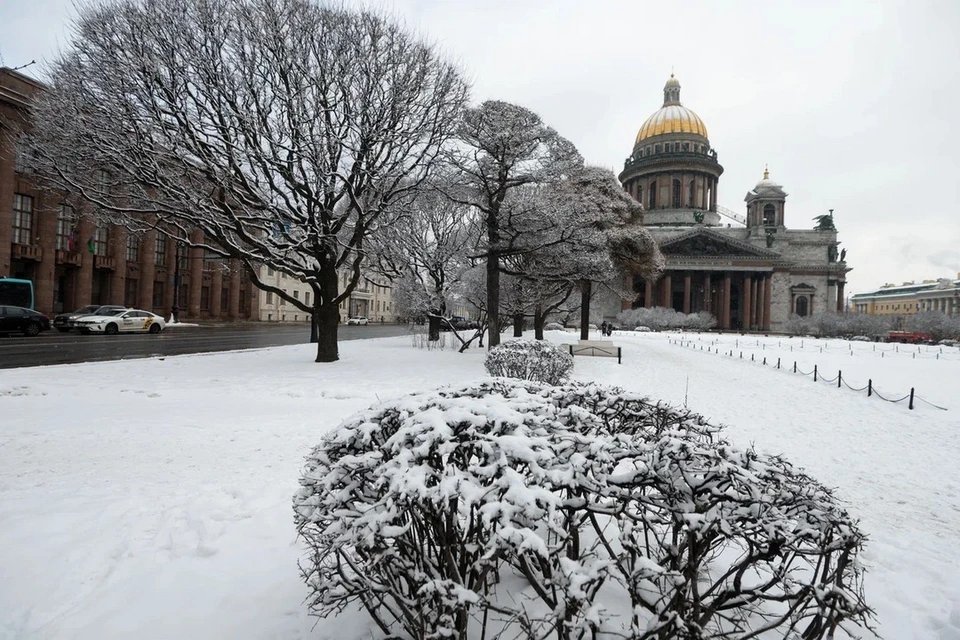 Похолодание до -20 градусов ожидается в Петербурге в конце недели.