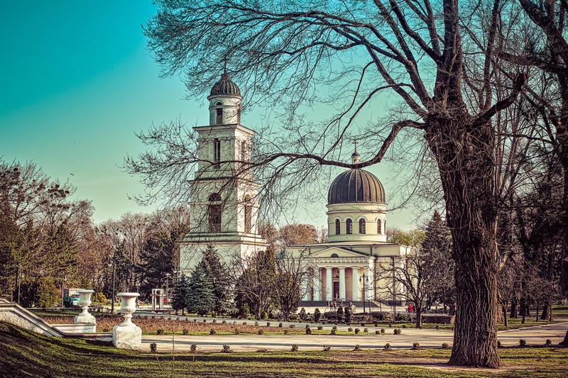 Фото: соцсети
