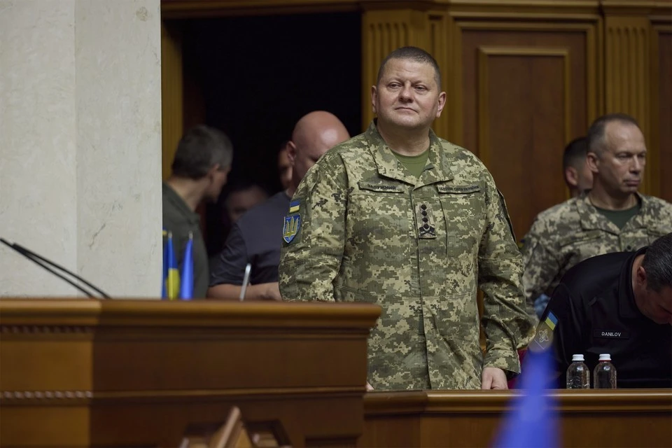 Названа возможная причина планируемой отставки главкома ВСУ Залужного