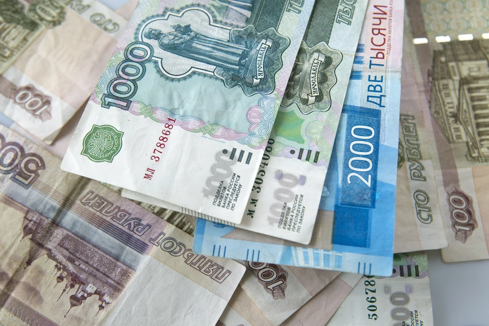 Замглавы МЭР Торосов: Жителям России списали без суда долги на 6,3 млрд рублей