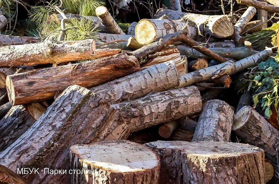 В холодное время года запрос на дрова от военных остается одним из самых актуальных. Фото: МБУК "Парки столицы"
