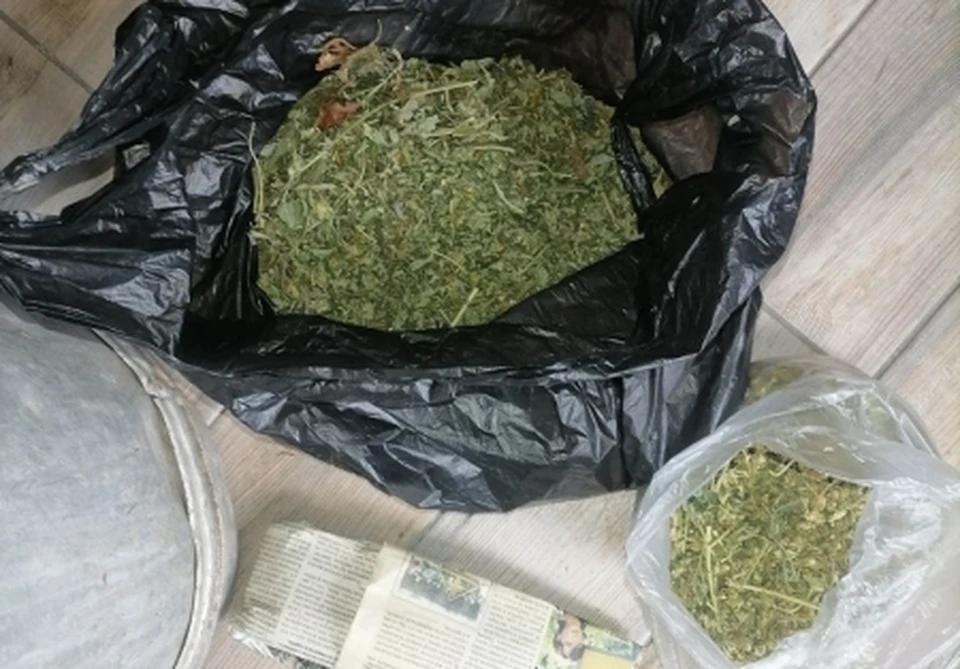 В Белгородской области полиция и ФСБ изъяли крупную партию марихуаны у жителя. Фото: пресс-служба УМВД России по Белгородской области.