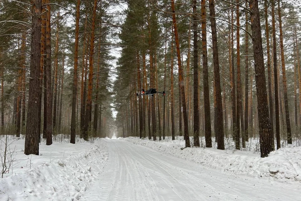 В Новосибирской области с помощью дронов ловят нарушителей в лесах. Фото: Правительство НСО