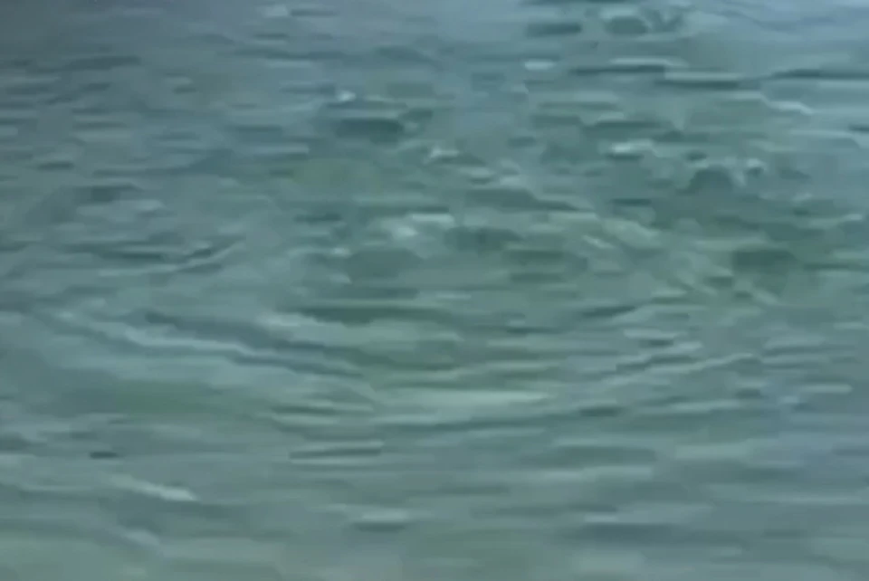 Азовское море в районе Голубицкой кипит. Фото: скриншот видео