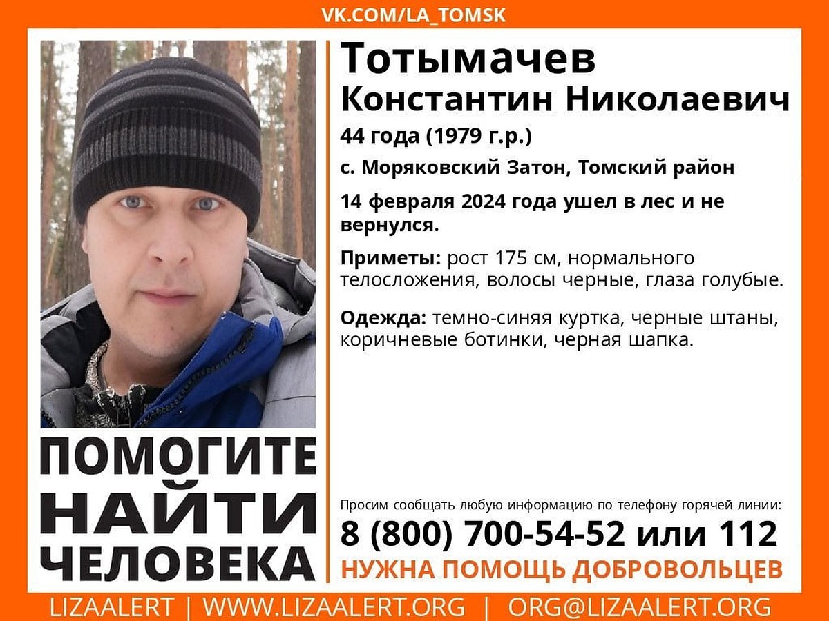 В Томском районе ищут 44-летнего мужчину, который ушел в лес и пропал -  KP.RU