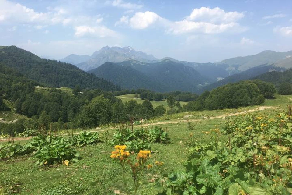 «Всё чаще выбирают Кавказ и Алтай»: Стало известно, куда поедут ...