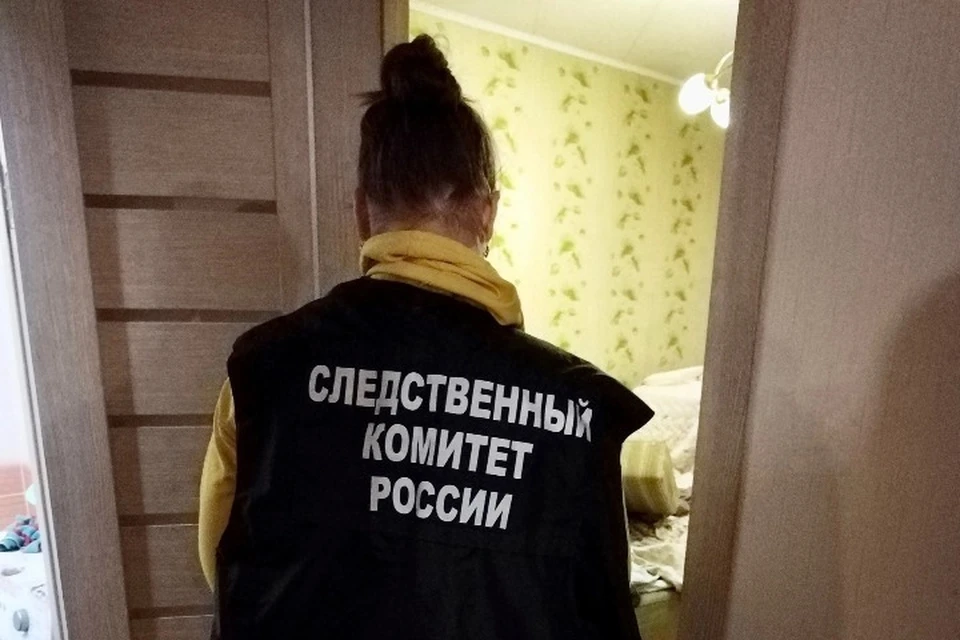 Осужденный счел приговор «слишком суровым» и подал апелляцию. Фото: СУ СК РФ по Удмуртии