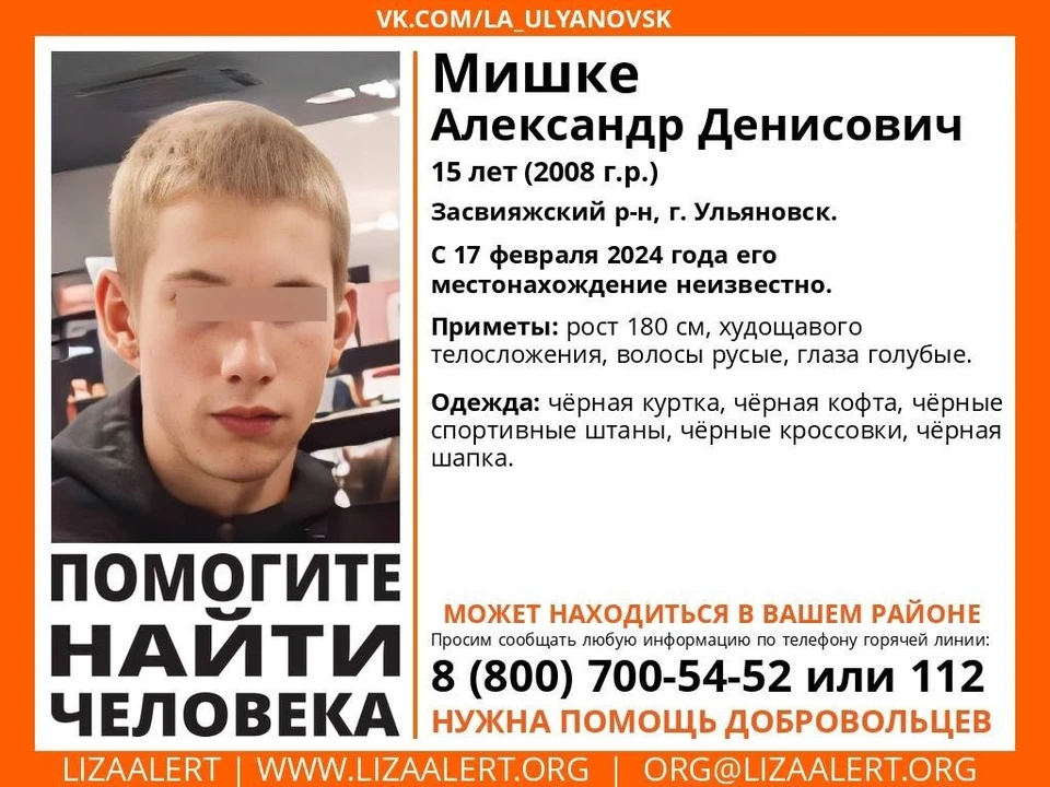 В Засвияжье Ульяновска пропал подросток. ФОТО: "ЛизаАлерт" Ульяновск
