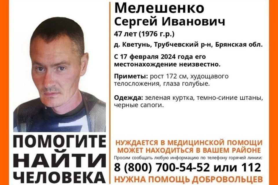 Фото: поисковый отряд "Лиза Алерт", ВКонтакте.
