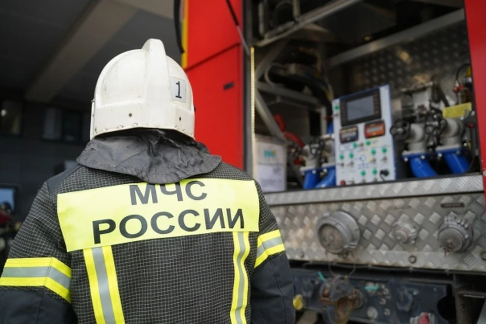С начала года в Новосибирской области произошло 343 пожара