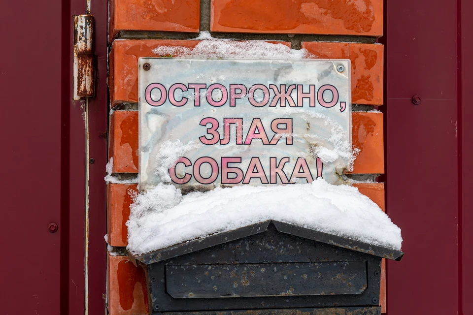 Приговор еще не вступил в законную силу.