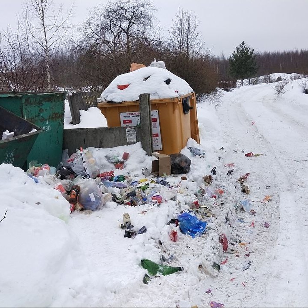 Житель улицы Гвардейской в Калуге пожаловался на мусор - KP.RU