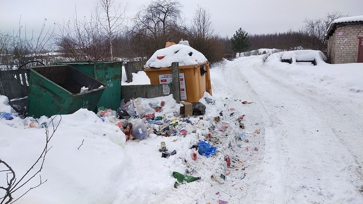 Житель улицы Гвардейской в Калуге пожаловался на мусор - KP.RU